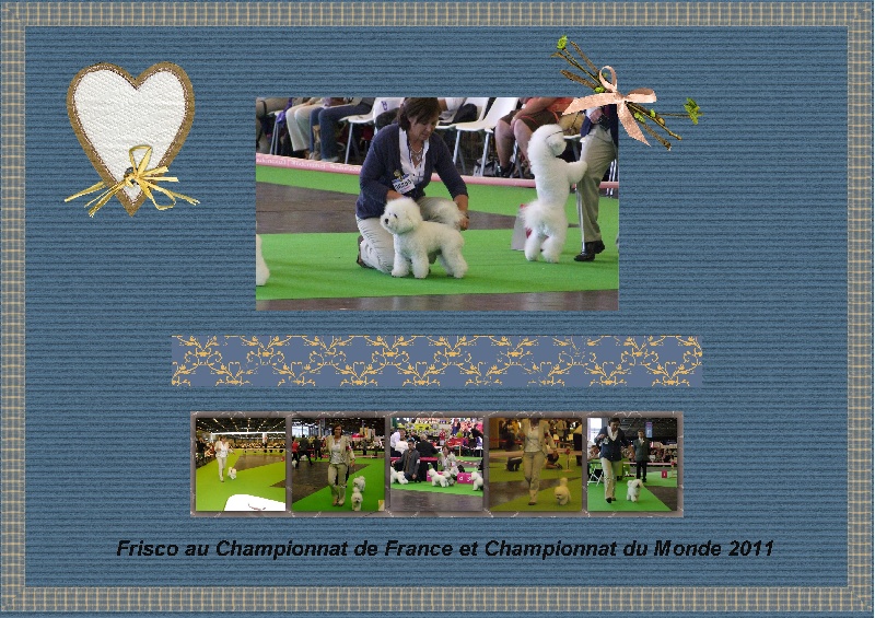 Championnats de France et du Monde avec Frisco - juillet 2011