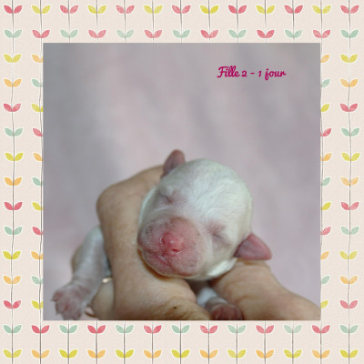 Fille 2
